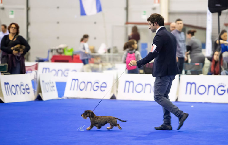 Expo Internazionale Roma 2018