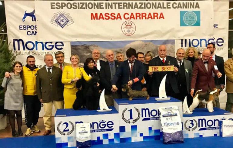 Expo Internazionale Massa Carrara 2019