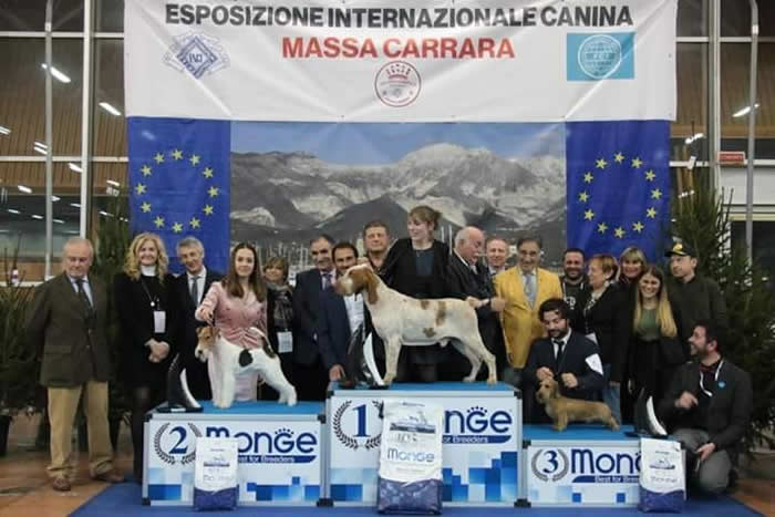 Expo Int. Massa Carrara 2020