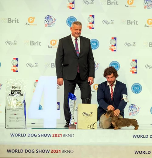 World Dog Show Brno 2021